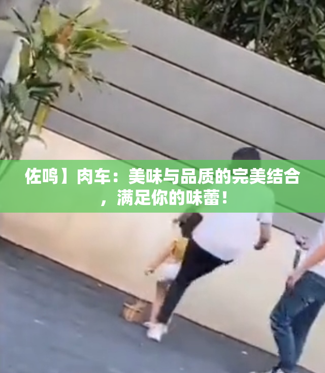 佐鸣】肉车：美味与品质的完美结合，满足你的味蕾！