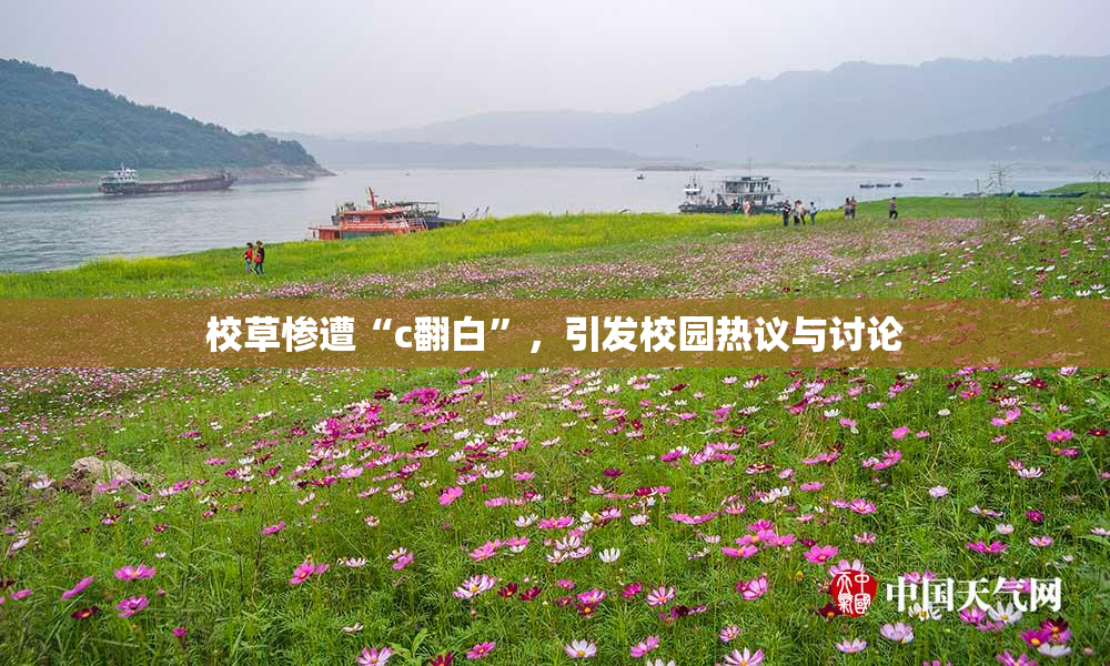 校草惨遭“c翻白”，引发校园热议与讨论