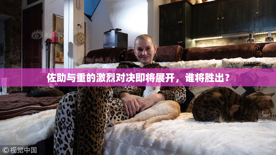 佐助与重的激烈对决即将展开，谁将胜出？