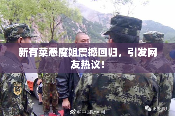 新有菜恶魔姐震撼回归，引发网友热议！