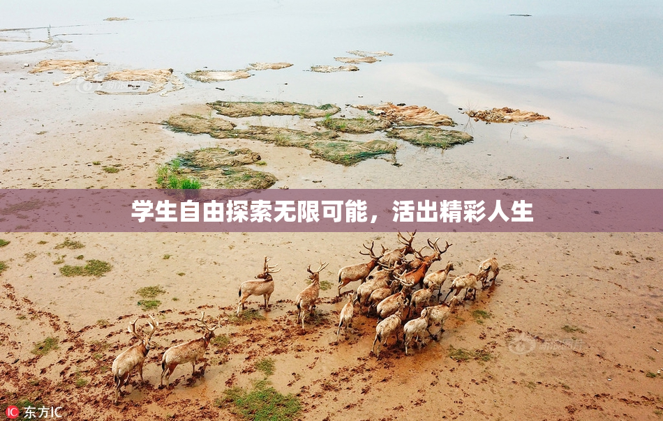 学生自由探索无限可能，活出精彩人生