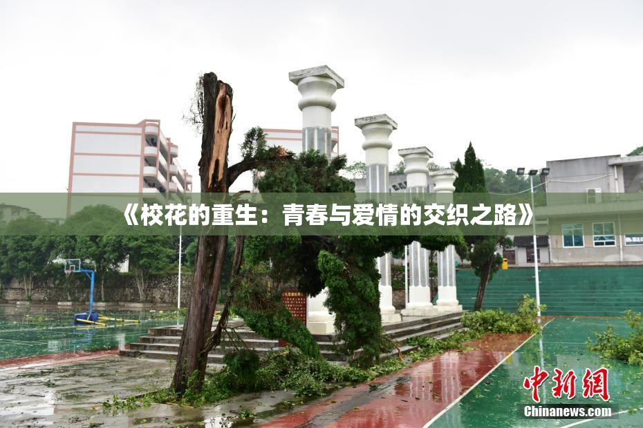 《校花的重生：青春与爱情的交织之路》