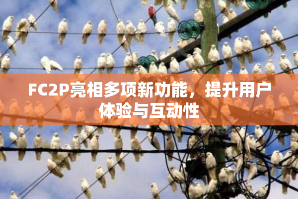 FC2P亮相多项新功能，提升用户体验与互动性