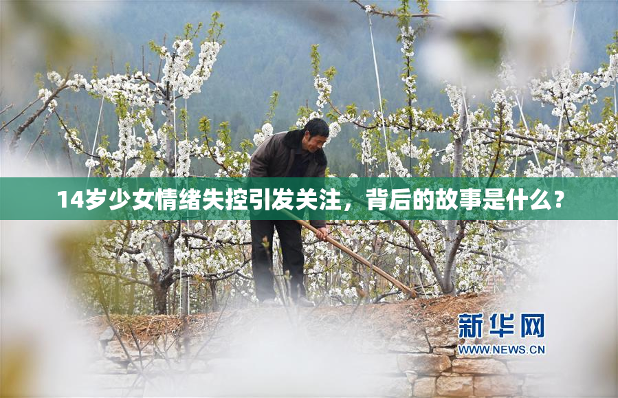 14岁少女情绪失控引发关注，背后的故事是什么？