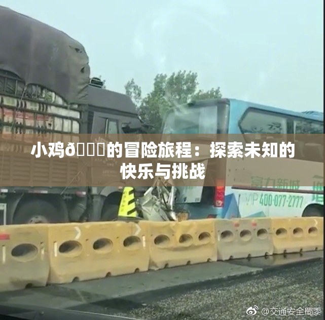 小鸡🐔的冒险旅程：探索未知的快乐与挑战