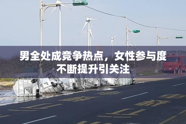 男全处成竞争热点，女性参与度不断提升引关注