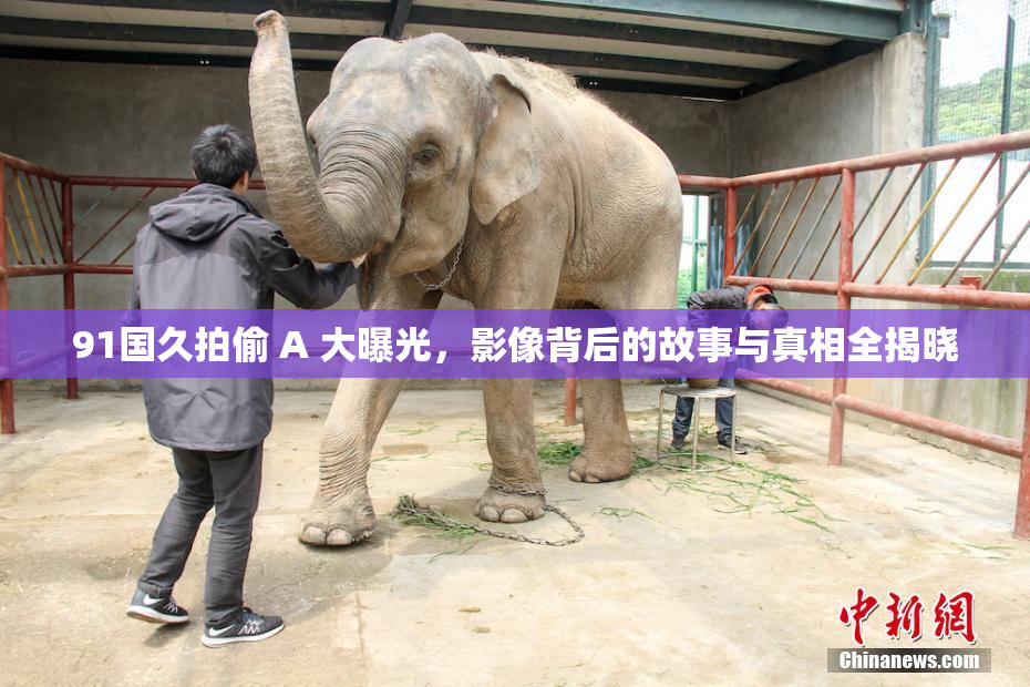 91国久拍偷 A 大曝光，影像背后的故事与真相全揭晓