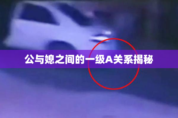 公与媳之间的一级A关系揭秘
