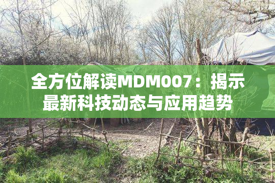 全方位解读MDM007：揭示最新科技动态与应用趋势