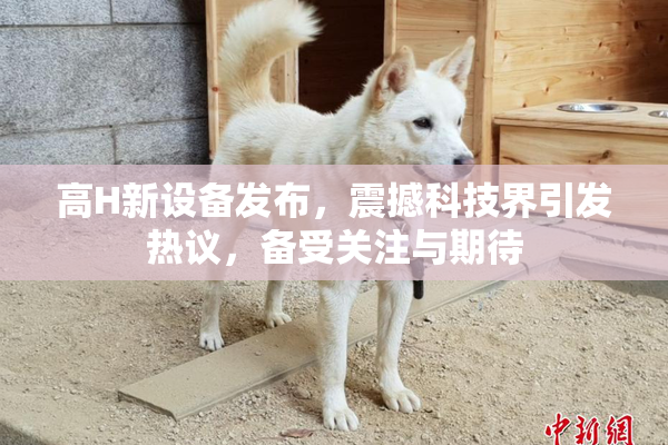 高H新设备发布，震撼科技界引发热议，备受关注与期待