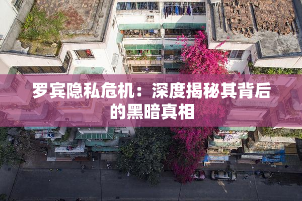罗宾隐私危机：深度揭秘其背后的黑暗真相