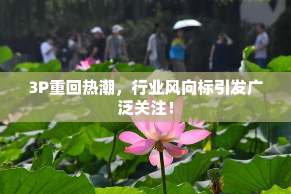 3P重回热潮，行业风向标引发广泛关注！