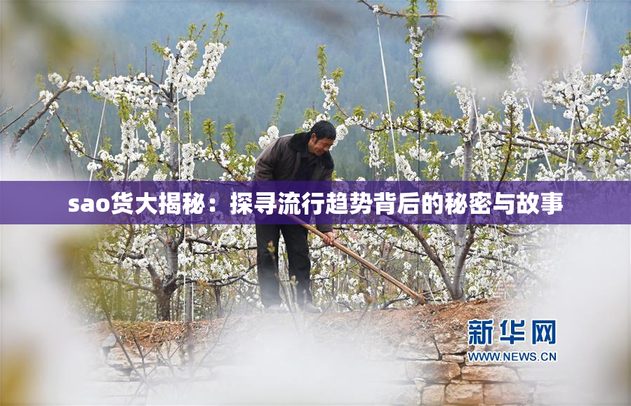 sao货大揭秘：探寻流行趋势背后的秘密与故事