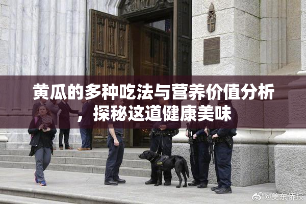黄瓜的多种吃法与营养价值分析，探秘这道健康美味