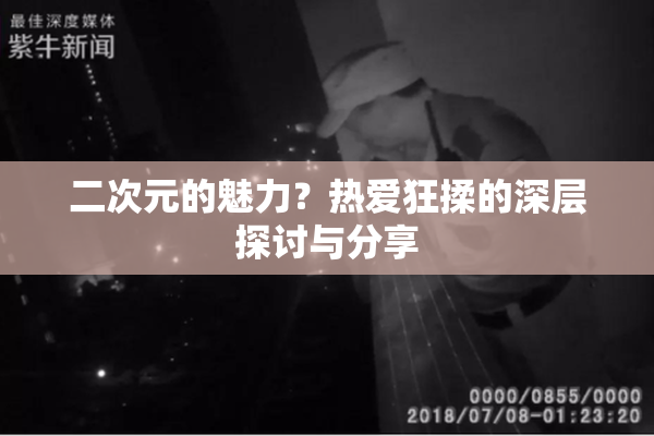 二次元的魅力？热爱狂揉的深层探讨与分享