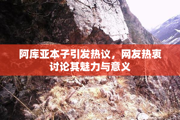 阿库亚本子引发热议，网友热衷讨论其魅力与意义