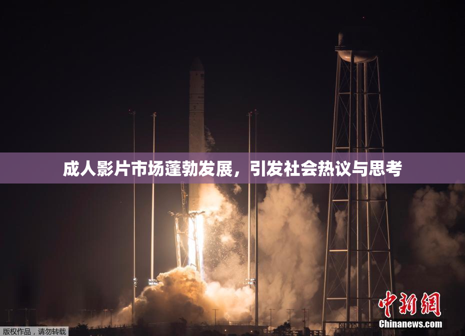 成人影片市场蓬勃发展，引发社会热议与思考