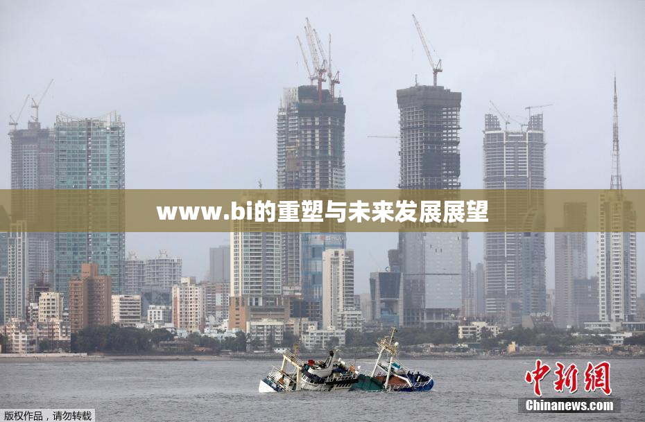 www.bi的重塑与未来发展展望