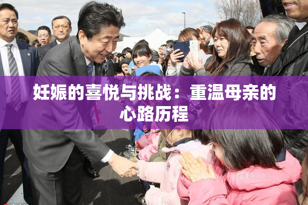 妊娠的喜悦与挑战：重温母亲的心路历程