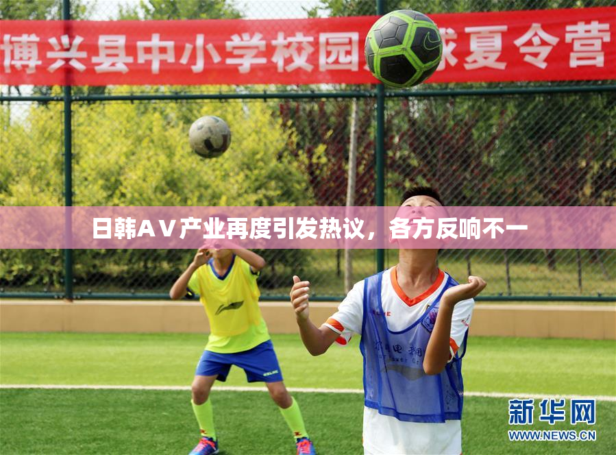 日韩AⅤ产业再度引发热议，各方反响不一