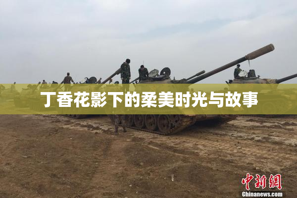 丁香花影下的柔美时光与故事