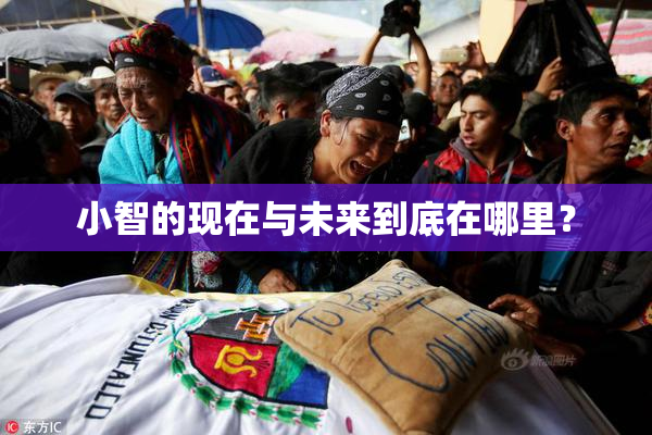 小智的现在与未来到底在哪里？