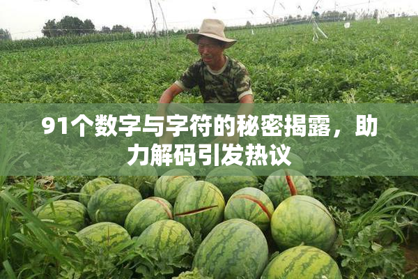 91个数字与字符的秘密揭露，助力解码引发热议