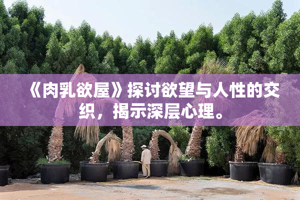 《肉乳欲屋》探讨欲望与人性的交织，揭示深层心理。