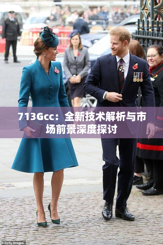 713Gcc：全新技术解析与市场前景深度探讨