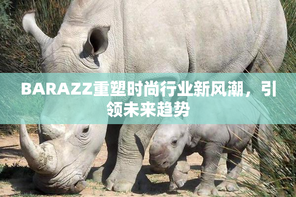 BARAZZ重塑时尚行业新风潮，引领未来趋势