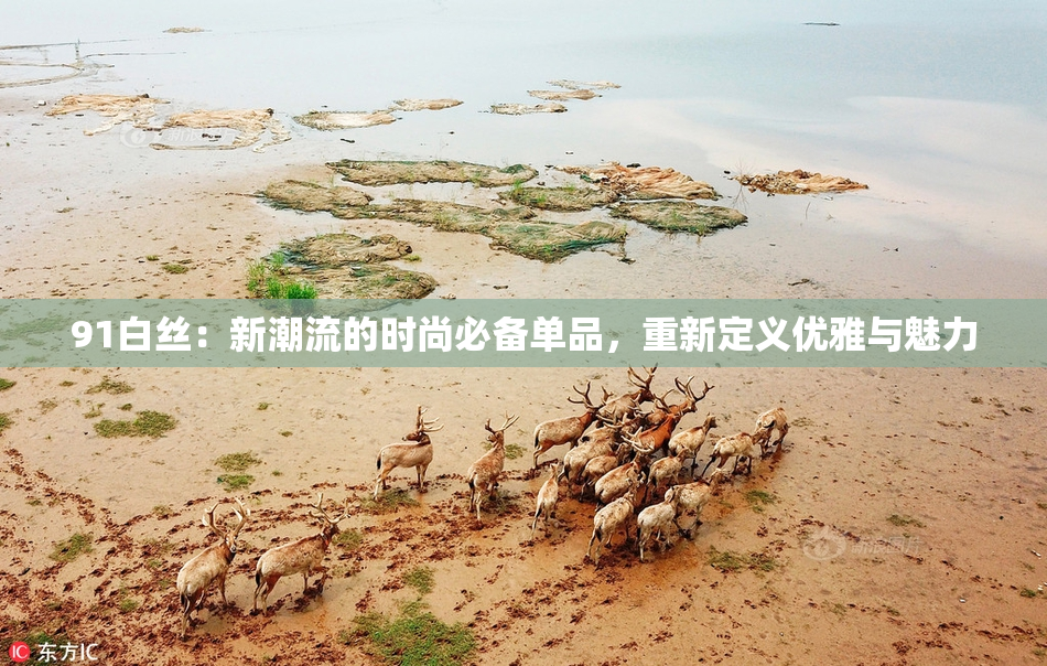 91白丝：新潮流的时尚必备单品，重新定义优雅与魅力