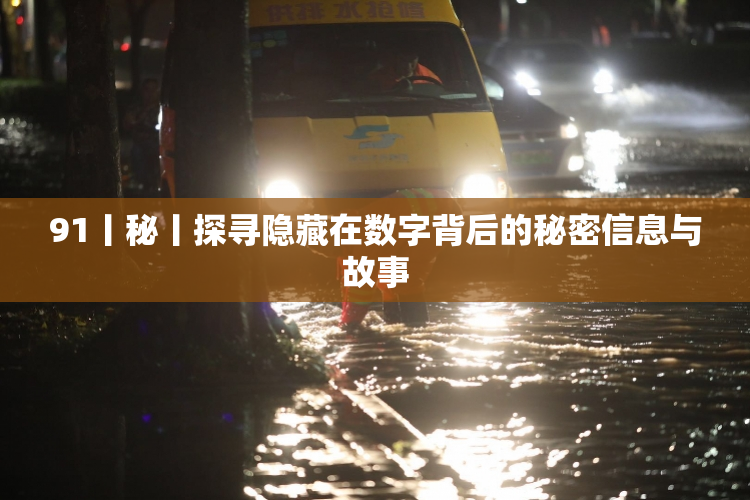 91丨秘丨探寻隐藏在数字背后的秘密信息与故事