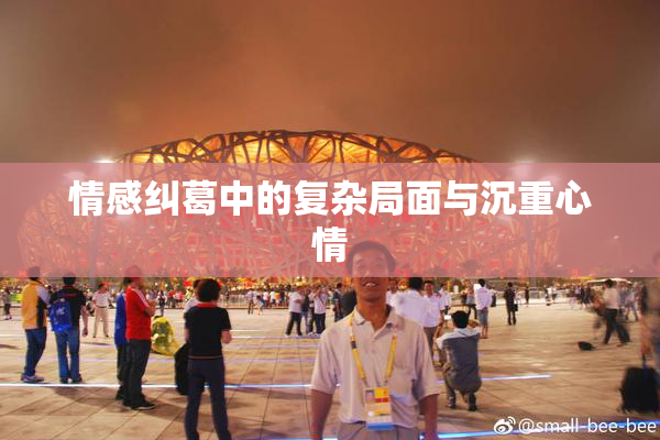 情感纠葛中的复杂局面与沉重心情