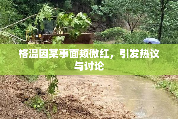 格温因某事面颊微红，引发热议与讨论