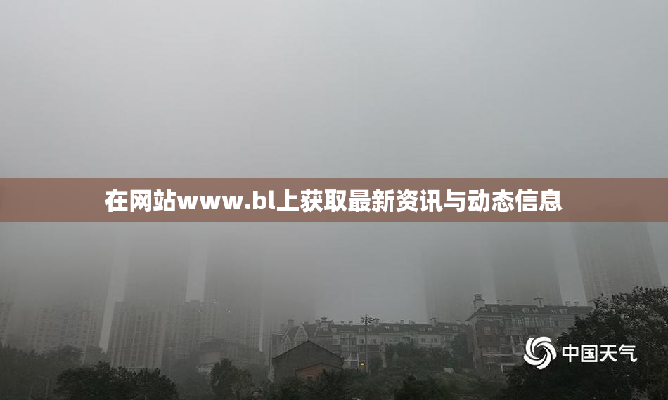 在网站www.bl上获取最新资讯与动态信息