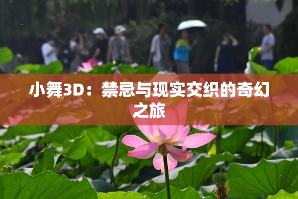 小舞3D：禁忌与现实交织的奇幻之旅