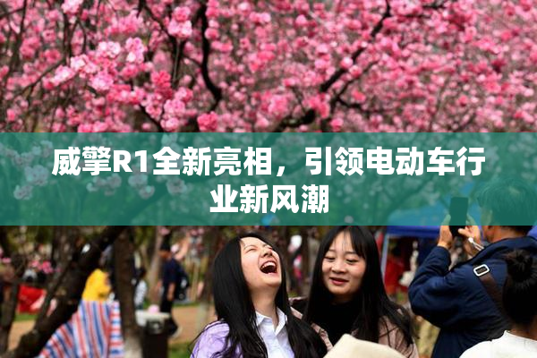 威擎R1全新亮相，引领电动车行业新风潮