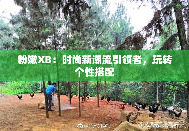 粉嫩XB：时尚新潮流引领者，玩转个性搭配