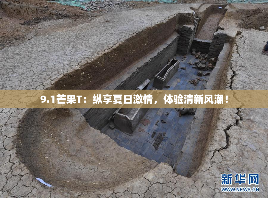 9.1芒果T：纵享夏日激情，体验清新风潮！