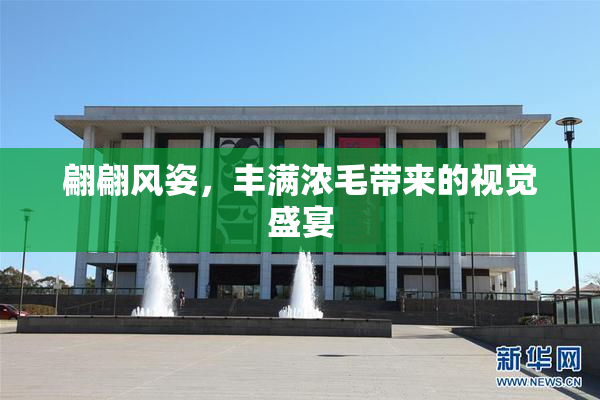 翩翩风姿，丰满浓毛带来的视觉盛宴