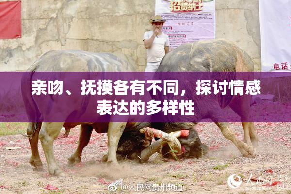 亲吻、抚摸各有不同，探讨情感表达的多样性