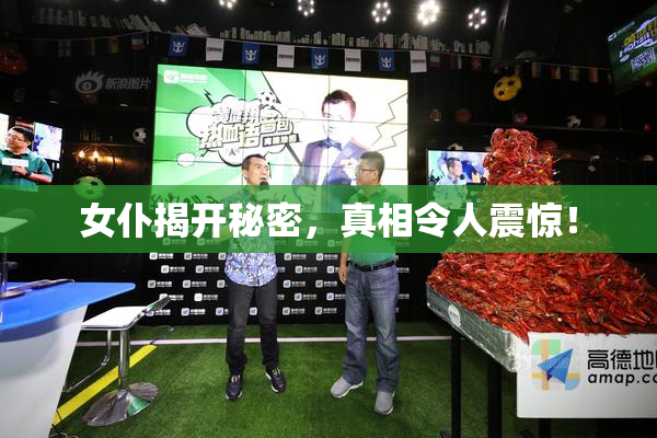 女仆揭开秘密，真相令人震惊！
