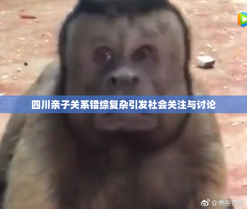 四川亲子关系错综复杂引发社会关注与讨论