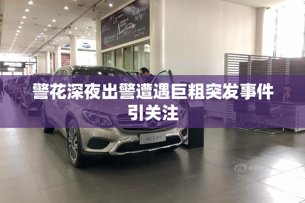 警花深夜出警遭遇巨粗突发事件引关注