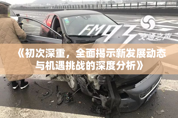 《初次深重，全面揭示新发展动态与机遇挑战的深度分析》