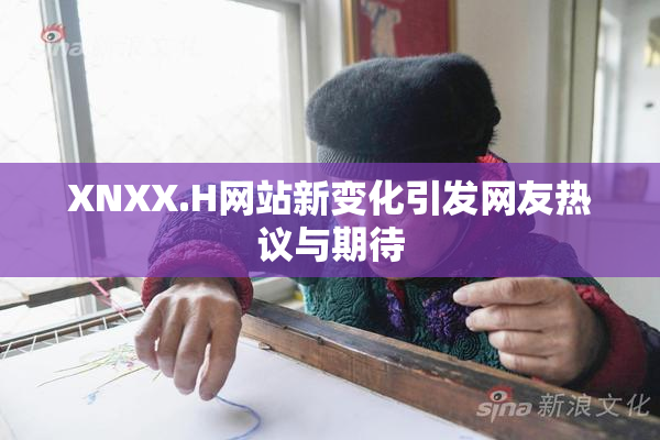 XNXX.H网站新变化引发网友热议与期待