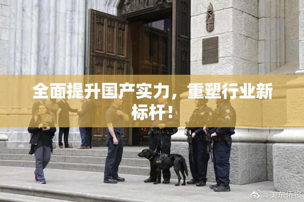 全面提升国产实力，重塑行业新标杆！