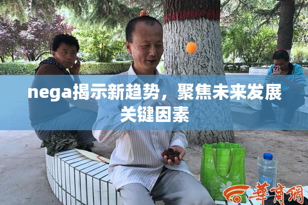 nega揭示新趋势，聚焦未来发展关键因素
