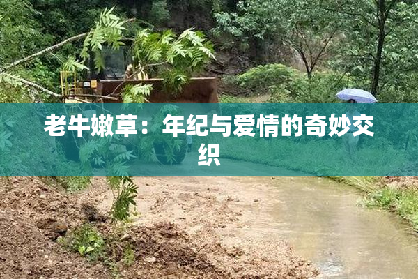 老牛嫩草：年纪与爱情的奇妙交织