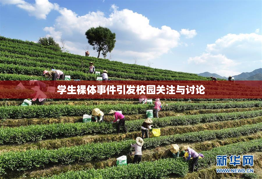 学生裸体事件引发校园关注与讨论